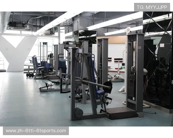 鹰伯尔专业健身器材重塑家庭运动新体验